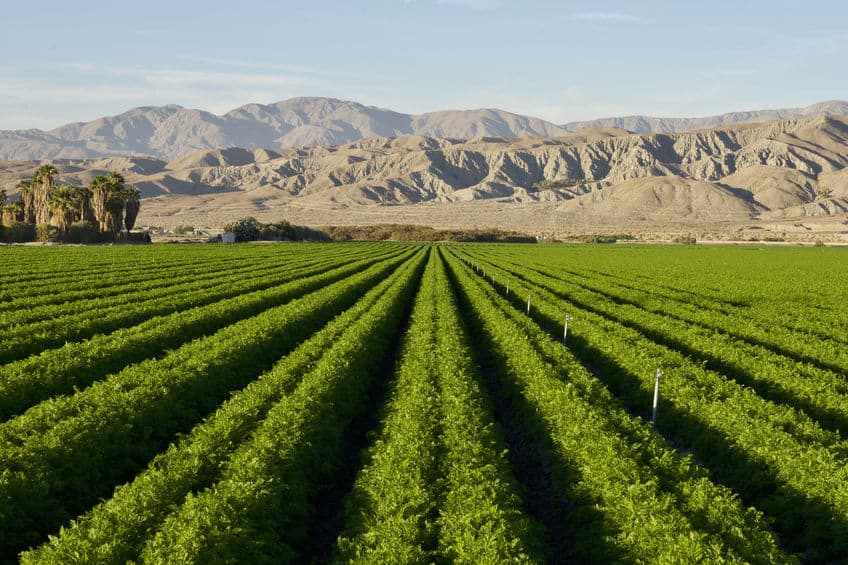 Imperial County Employment Law